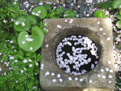 c0188928_20465779.gif