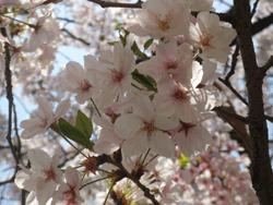 c0188928_20471112.gif