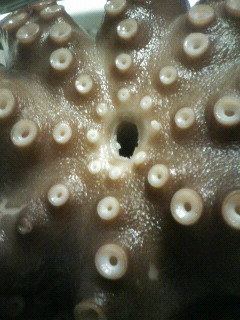 c0034029_7293976.jpg