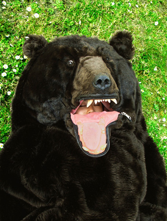 e0149229_20201179.jpg