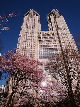 b0062531_21443398.jpg