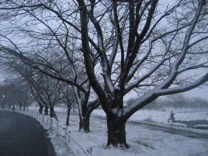 f0080631_21414770.jpg