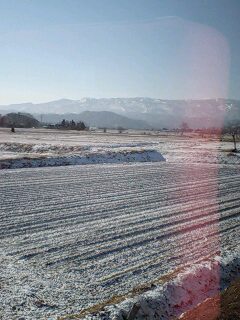f0118332_742565.jpg