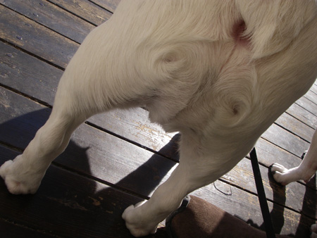 e0008833_8363848.jpg