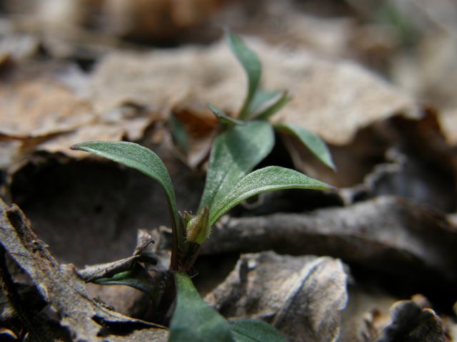 e0145033_18214043.jpg