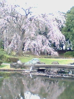 f0002833_19262587.jpg