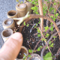 d0033734_1631568.gif