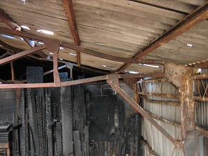 f0010138_22381811.jpg