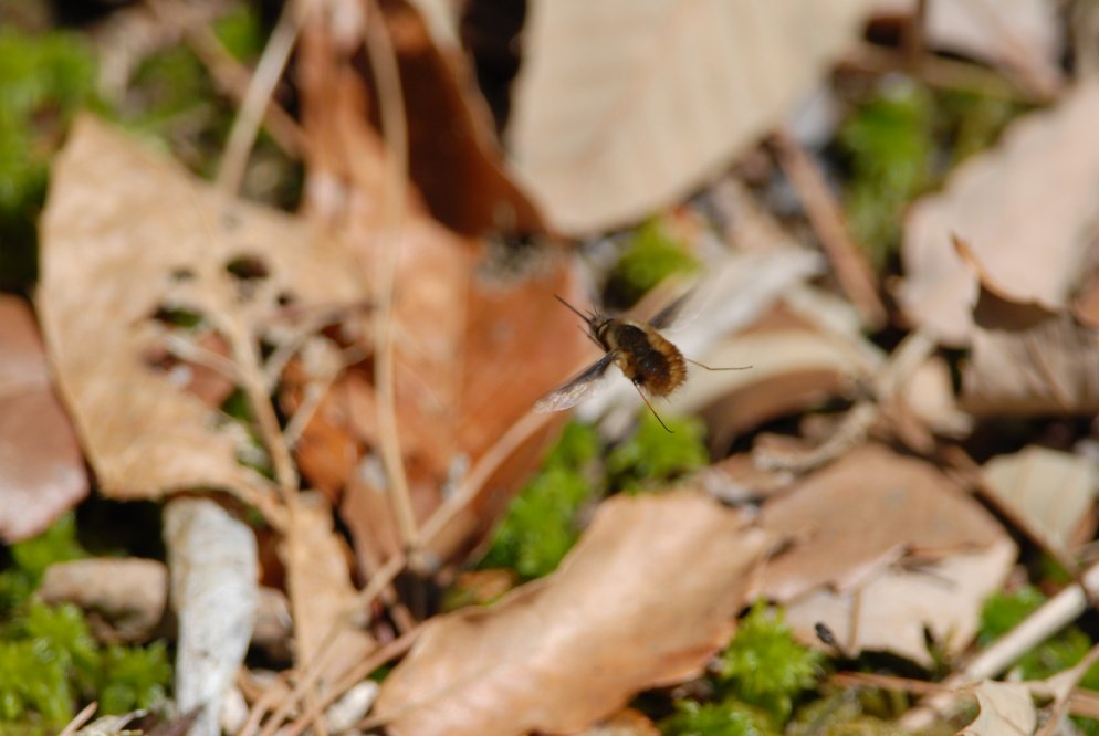 c0172139_20283364.jpg