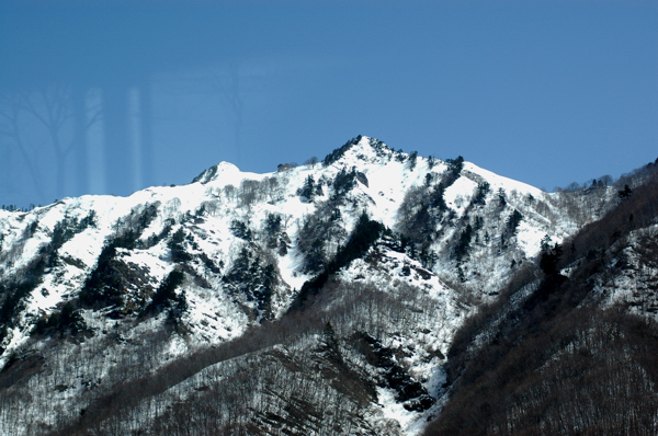 a0082146_22342155.jpg