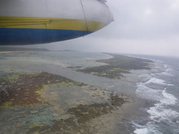 b0042548_2140487.jpg