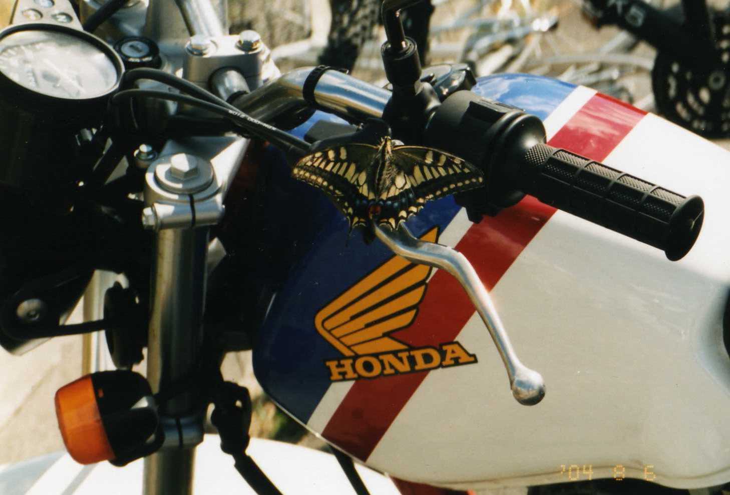 c0019951_23361237.jpg
