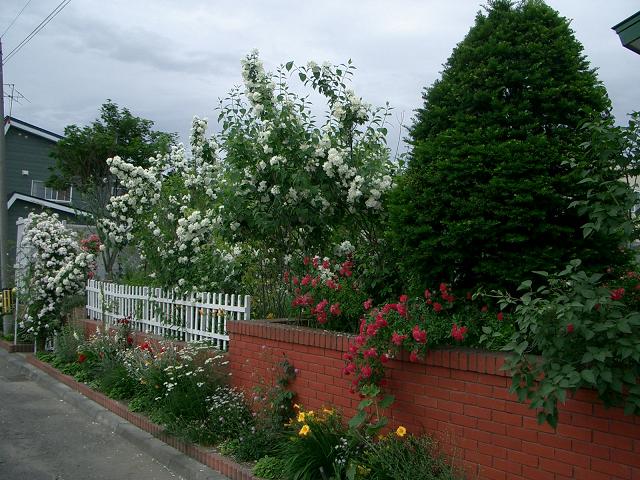 a0075455_691862.jpg