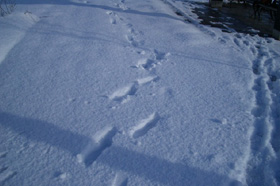 f0082356_17331435.jpg