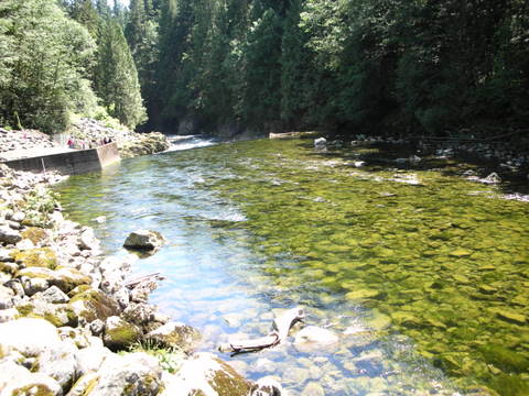 e0176457_4211219.jpg