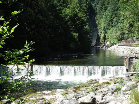 e0176457_4213653.jpg