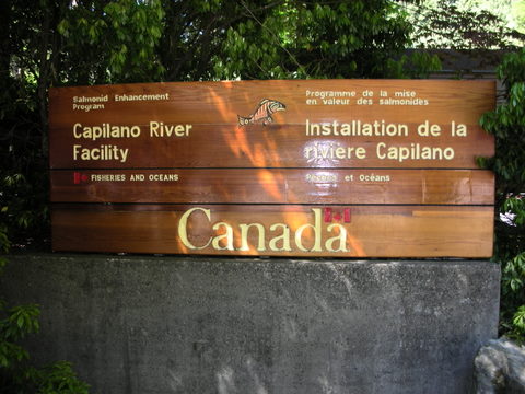 e0176457_47576.jpg