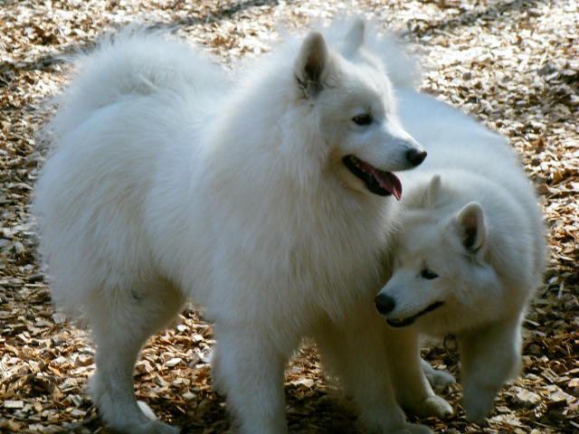 e0129661_020579.jpg