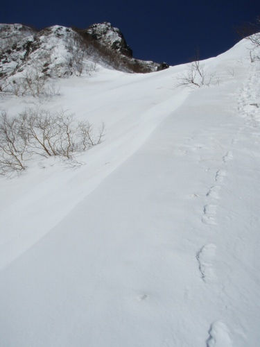 b0050067_2343713.jpg