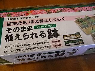 b0068067_10144591.jpg