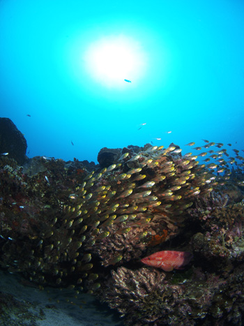 b0138768_18381882.jpg