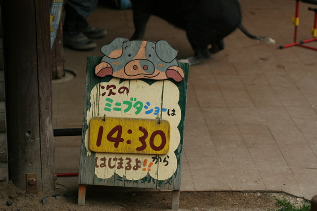 c0163369_927272.jpg