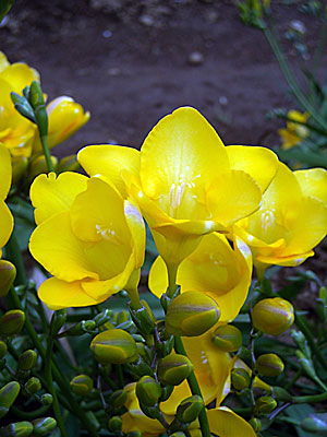e0097770_23305018.jpg