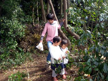 f0196374_4472951.jpg