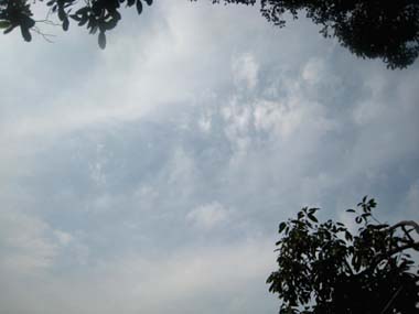 f0196374_456439.jpg