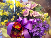 d0069575_011333.jpg