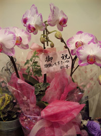 d0069575_0345100.jpg