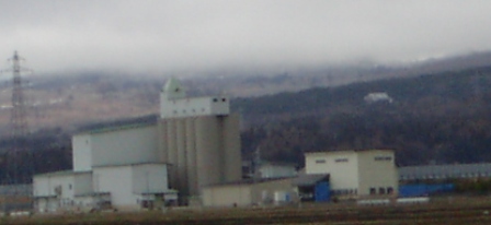 a0091680_17234780.jpg