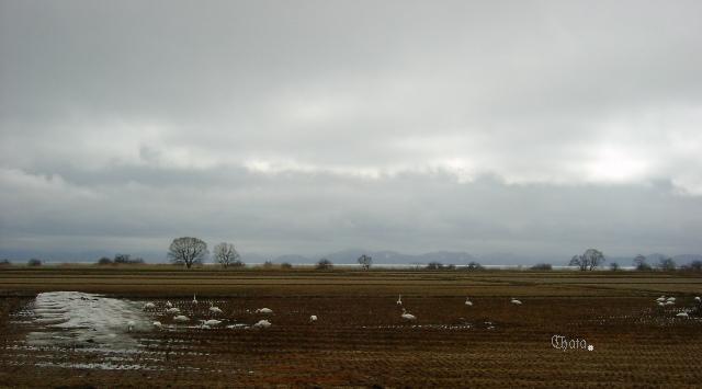 a0091680_17361430.jpg