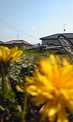 c0107180_1922878.jpg