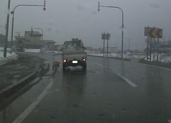 b0127783_12472670.jpg