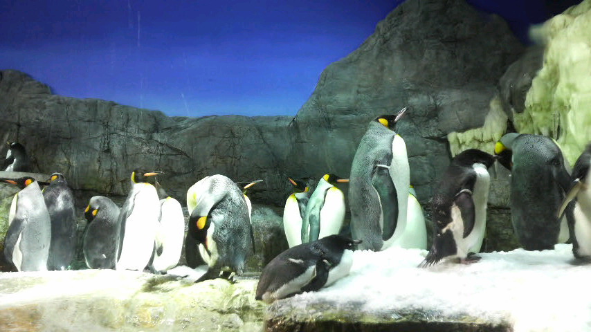 c0156789_2218937.jpg