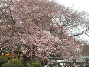 b0032694_8202488.gif