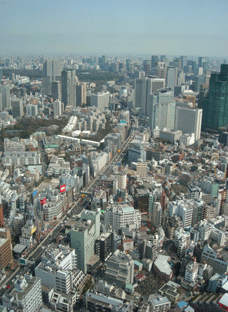 b0032694_8283983.gif