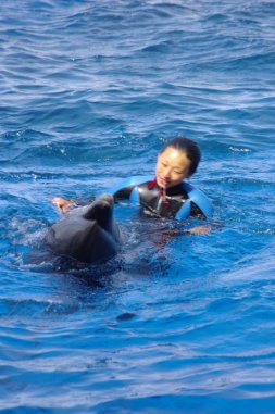 e0019696_102857.jpg