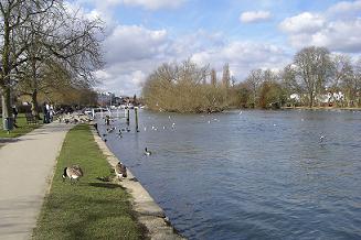 f0127098_5343933.jpg