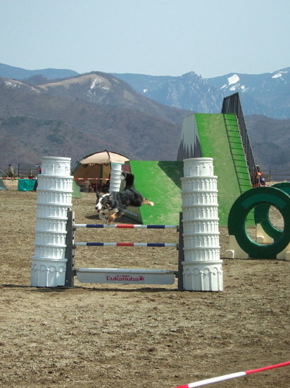 c0044199_13243633.jpg