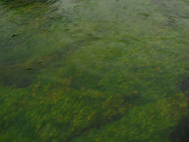 f0164503_22203029.jpg