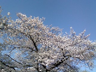 b0013005_0174146.jpg