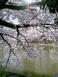 b0013005_018307.jpg