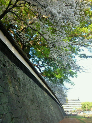 c0008906_0124597.jpg