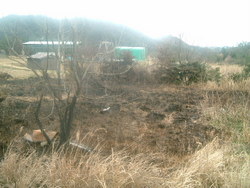 c0195309_10531483.jpg