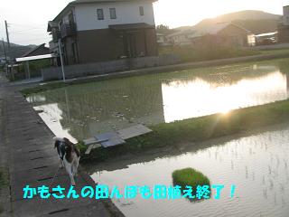 d0104209_21391169.jpg