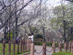 e0177509_18454160.jpg
