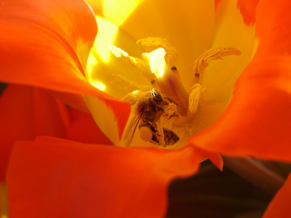 c0062511_2235131.jpg