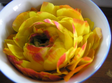 f0128723_0373772.jpg